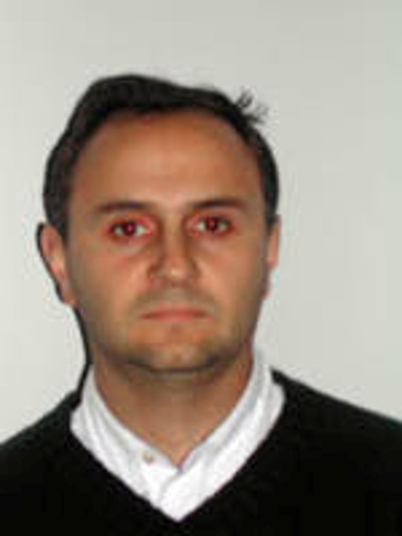 Ponente internacional